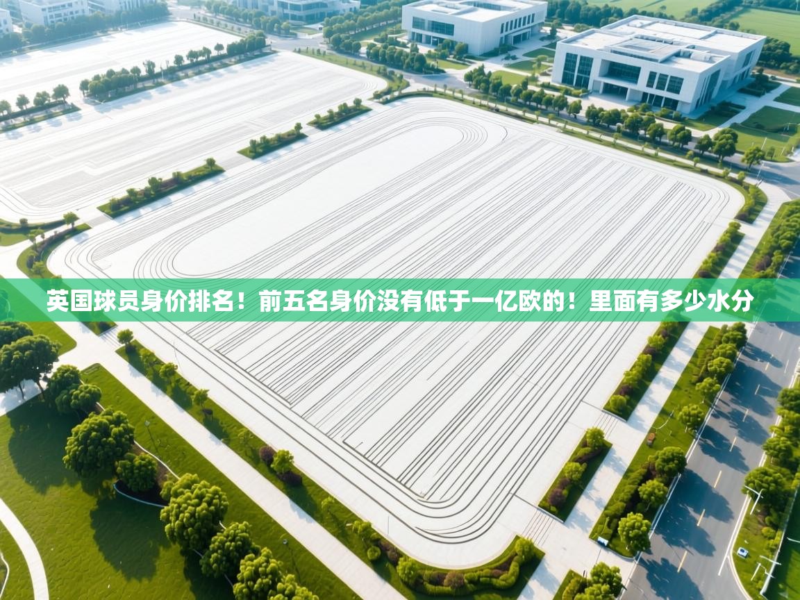 英国球员身价排名！前五名身价没有低于一亿欧的！里面有多少水分  第1张