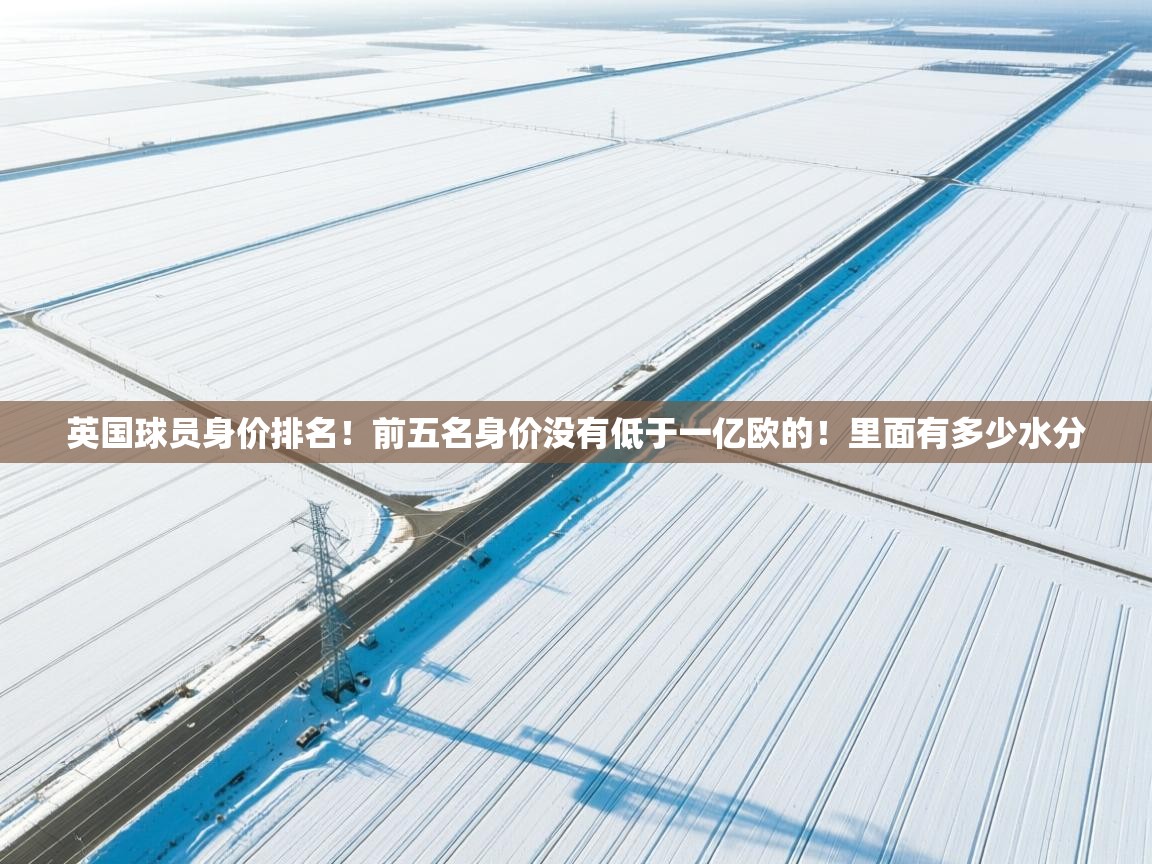 英国球员身价排名！前五名身价没有低于一亿欧的！里面有多少水分  第2张