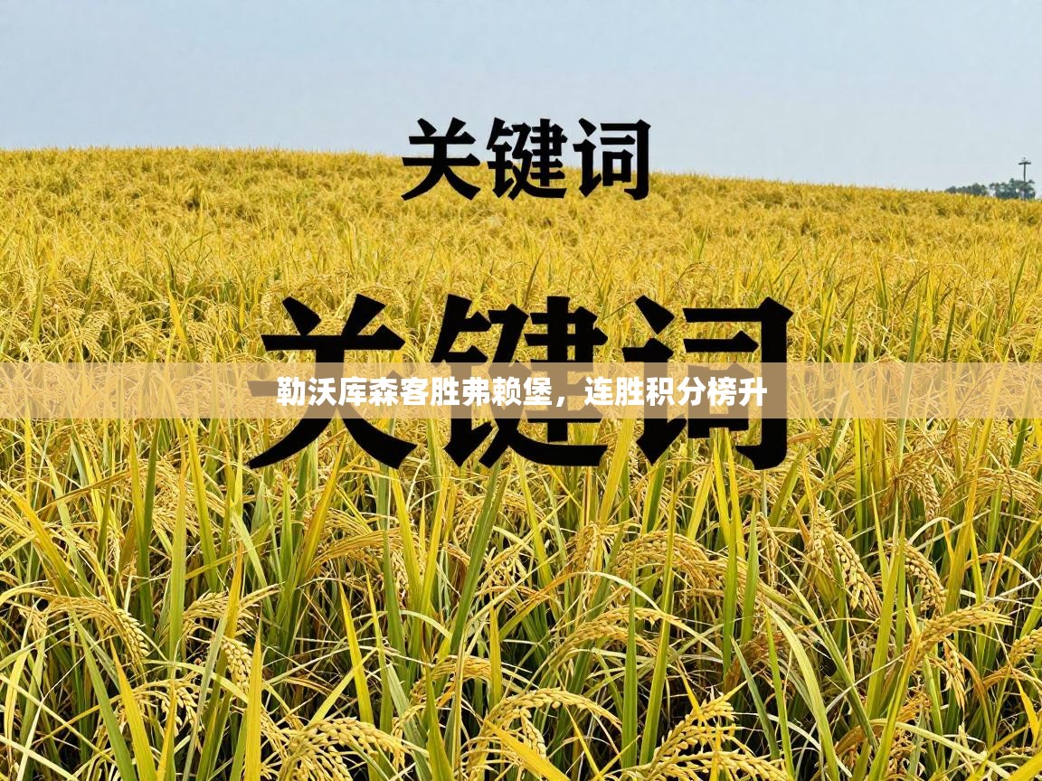 勒沃库森客胜弗赖堡，连胜积分榜升  第1张